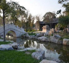 高清视角下的园林绿化工程 艺术、技术与生态的和谐交响