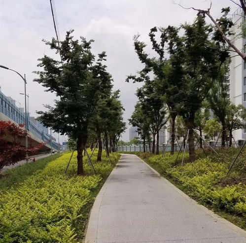 匠心铸绿韵，昆山石林绿化有限责任公司参评2017全国风景园林工程项目纪实