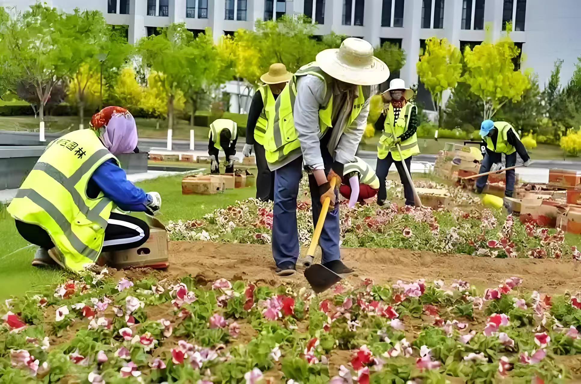 港城园林绿化工程 以专业匠心，筑品质生活