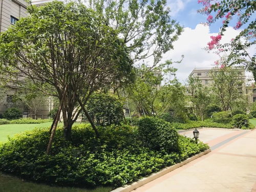 农工商绿化工程项目喜获“园林杯”双奖殊荣